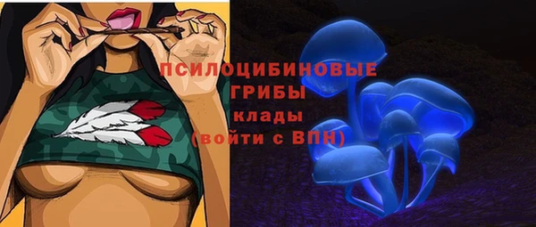 прущие грибы Алексин
