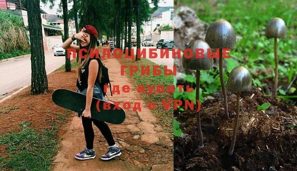 синтетический гашиш Алексеевка