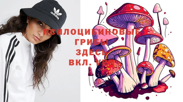 синтетический гашиш Алексеевка