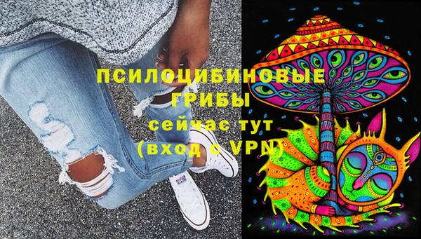 синтетический гашиш Алексеевка